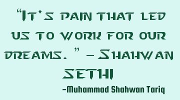 “It's pain that led us to work for our dreams.” – Shahwan SETHI