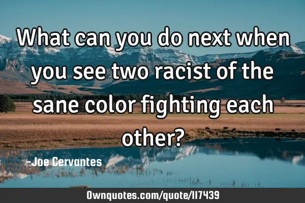 What can you do next when you see two racist of the sane color fighting each other?
