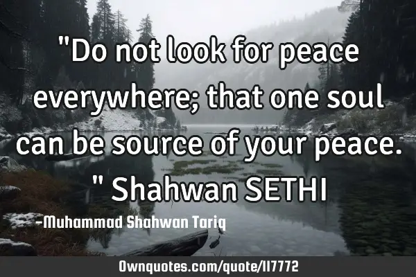 "Do not look for peace everywhere; that one soul can be source of your peace." Shahwan SETHI