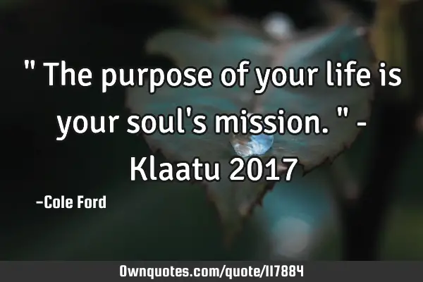 " The purpose of your life is your soul