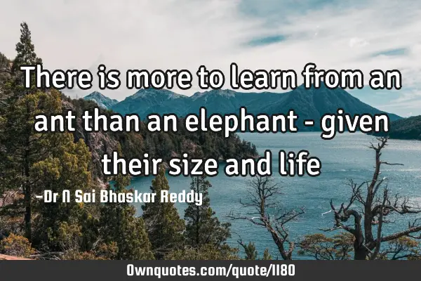 There is more to learn from an ant than an elephant - given their size and