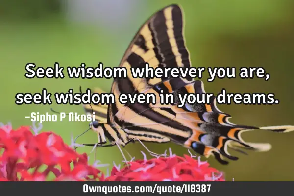 Seek wisdom wherever you are, seek wisdom even in your