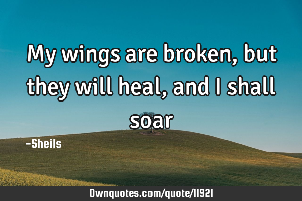 My wings are broken, but they will heal, and I shall