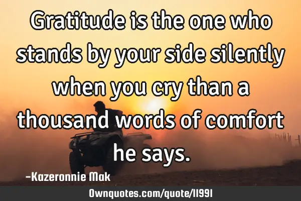 Gratitude is the one who stands by your side silently when you cry than a thousand words of comfort