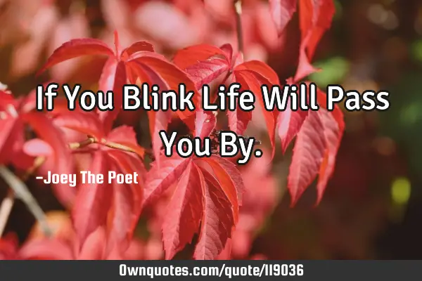 If You Blink Life Will Pass You B