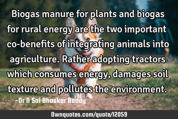 Biogas manure for plants and biogas for rural energy are the two important co-benefits of