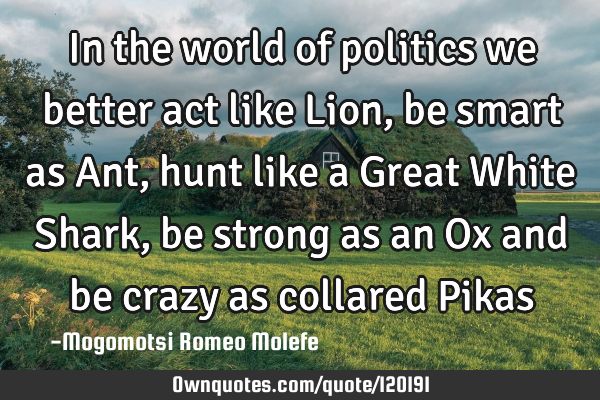 In the world of politics we better act like Lion,be smart as Ant, hunt like a Great White Shark ,be