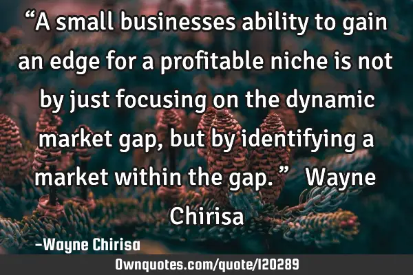 “A small businesses ability to gain an edge for a profitable niche is not by just focusing on the