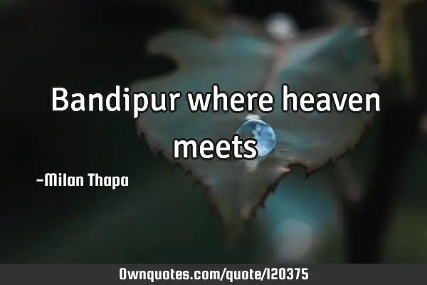 Bandipur where heaven