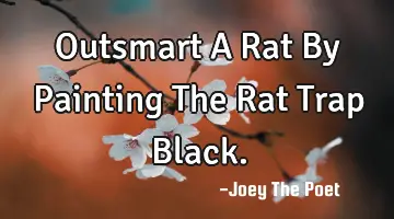 Outsmart A Rat By Painting The Rat Trap Black.