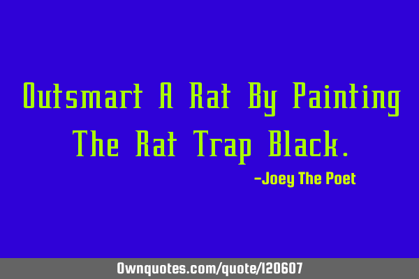 Outsmart A Rat By Painting The Rat Trap B