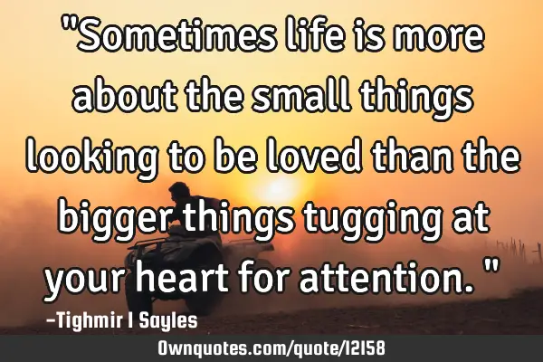 "Sometimes life is more about the small things looking to be loved than the bigger things tugging