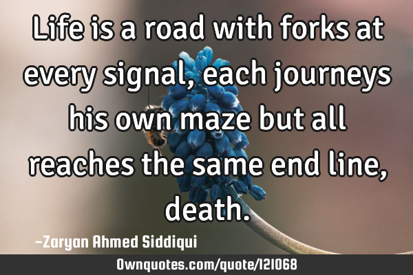 Life is a road with forks at every signal, each journeys his own maze but all reaches the same end