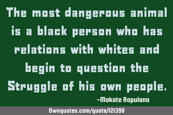 The most dangerous animal is a black person who has relations with whites and begin to question the