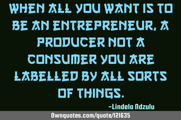 When all you want is to be an entrepreneur, a producer not a consumer you are labelled by all sorts