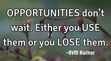 OPPORTUNITIES don’t wait. Either you USE them or you LOSE them.