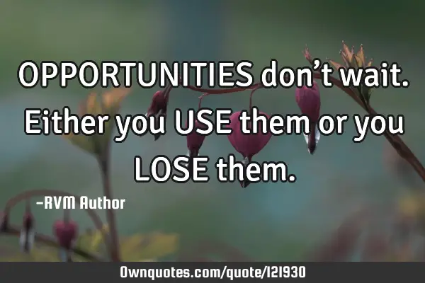 OPPORTUNITIES don’t wait. Either you USE them or you LOSE