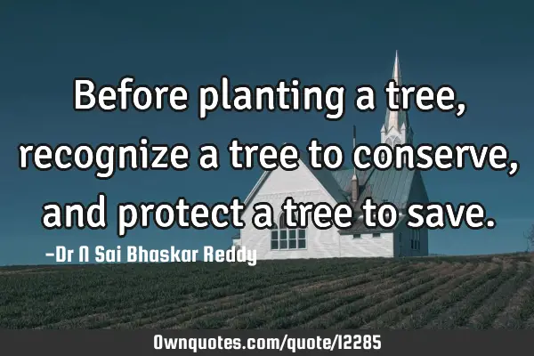 Before planting a tree, recognize a tree to conserve, and protect a tree to