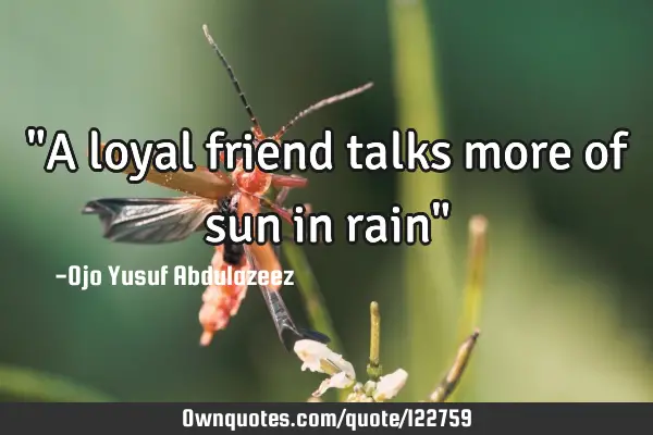 "A loyal friend talks more of sun in rain"