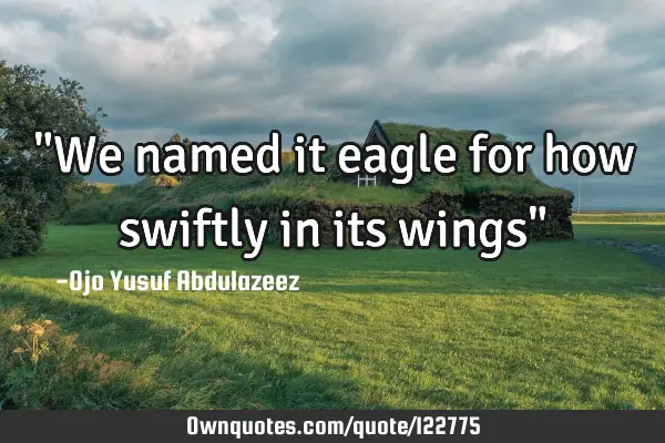 "We named it eagle for how swiftly in its wings"