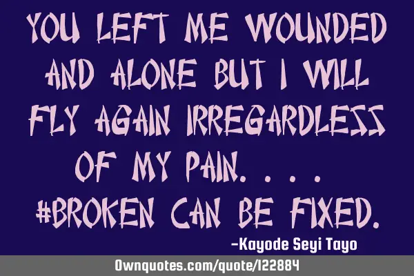 You left me wounded and alone but I will fly again irregardless of my pain.... #Broken can be