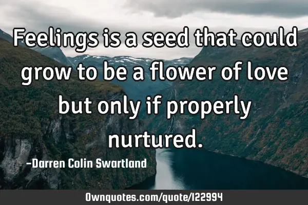 Feelings is a seed that could grow to be a flower of love but only if properly