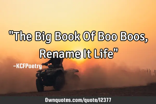 "The Big Book Of Boo Boos, Rename It Life"