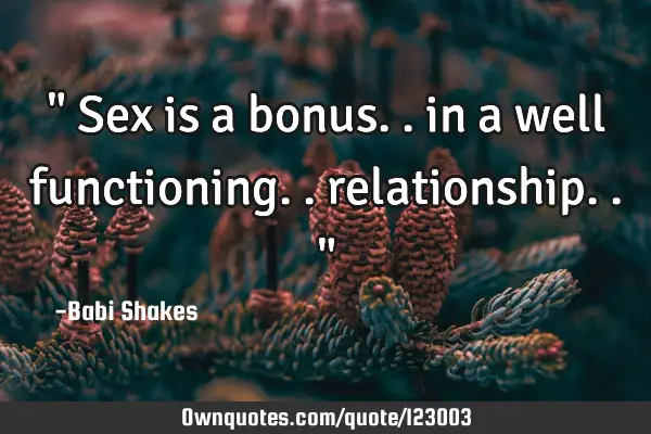 " Sex is a bonus.. in a well functioning.. relationship.. "