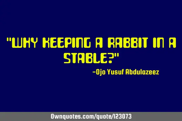 "Why keeping a rabbit in a stable?"