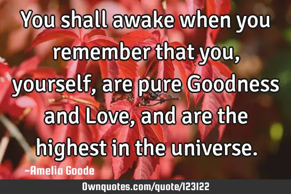You shall awake when you remember that you, yourself, are pure Goodness and Love, and are the