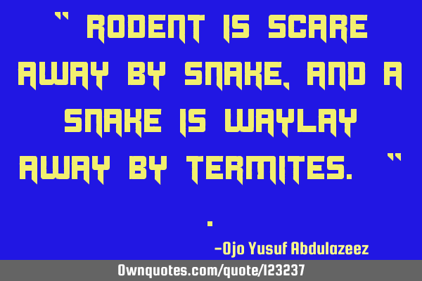 " Rodent is scare away by snake, and a snake is waylay away by termites. "