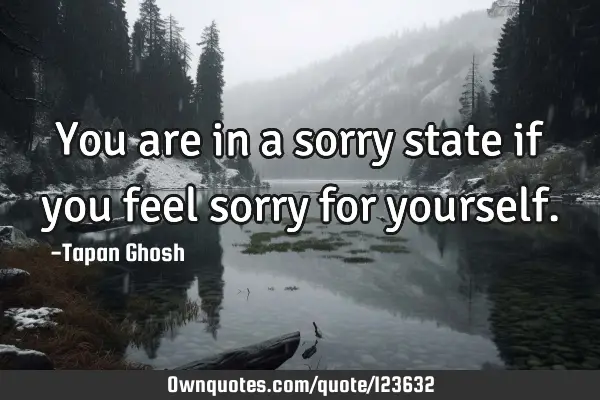 You are in a sorry state if you feel sorry for