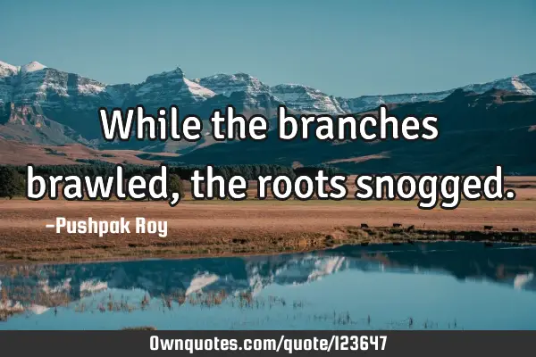 While the branches brawled, the roots