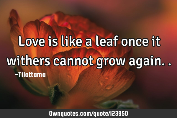 Love is like a leaf once it withers cannot grow