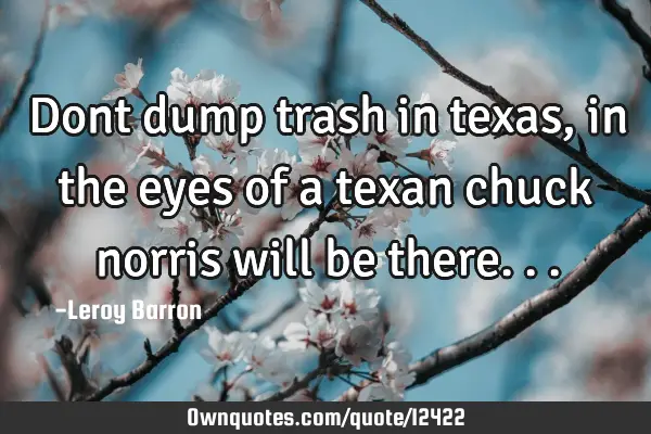 Dont dump trash in texas,in the eyes of a texan chuck norris will be