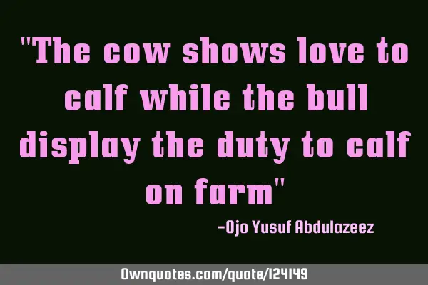 "The cow shows love to calf while the bull display the duty to calf on farm"