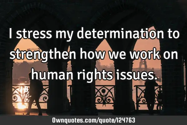 I stress my determination to strengthen how we work on human rights