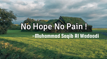 No Hope No Pain !