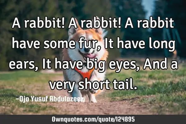 A rabbit! A rabbit! A rabbit have some fur, It have long ears, It have big eyes, And a very short