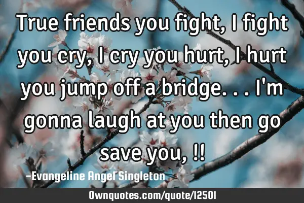 True friends you fight, i fight you cry, i cry you hurt, i hurt you jump off a bridge...i