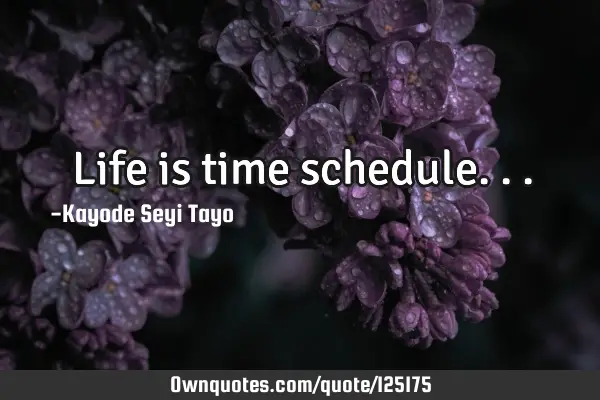 Life is time