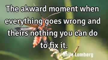 The akward moment when everything goes wrong and theirs nothing you can do to fix it.
