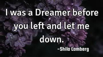 I was a Dreamer before you left and let me down.