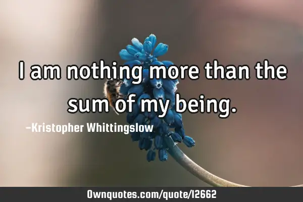 I am nothing more than the sum of my