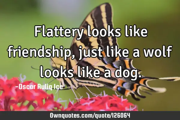 Flattery looks like friendship, just like a wolf looks like a