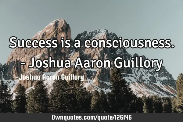 Success is a consciousness. - Joshua Aaron G