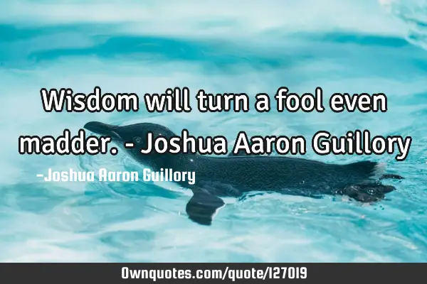 Wisdom will turn a fool even madder. - Joshua Aaron G