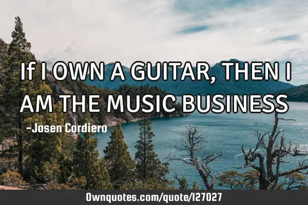 If I OWN A GUITAR, THEN I AM THE MUSIC BUSINESS