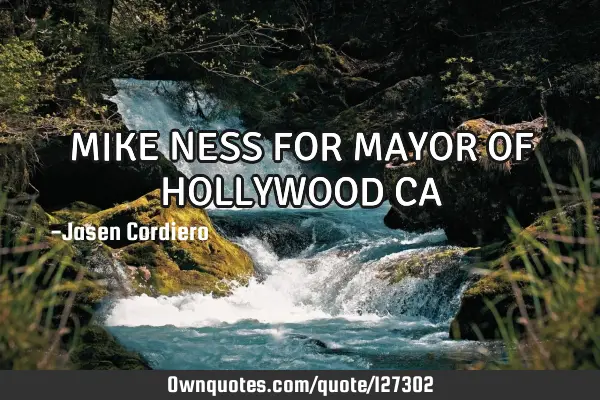 MIKE NESS FOR MAYOR OF HOLLYWOOD CA