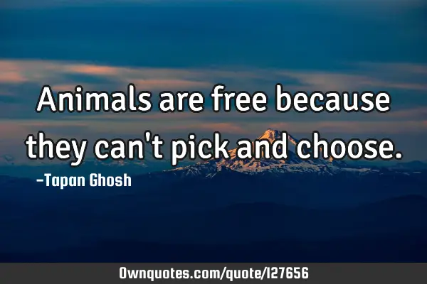 Animals are free because they can